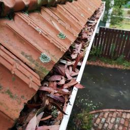 Beykoz Kavacık Çatı Oluk Temizliği